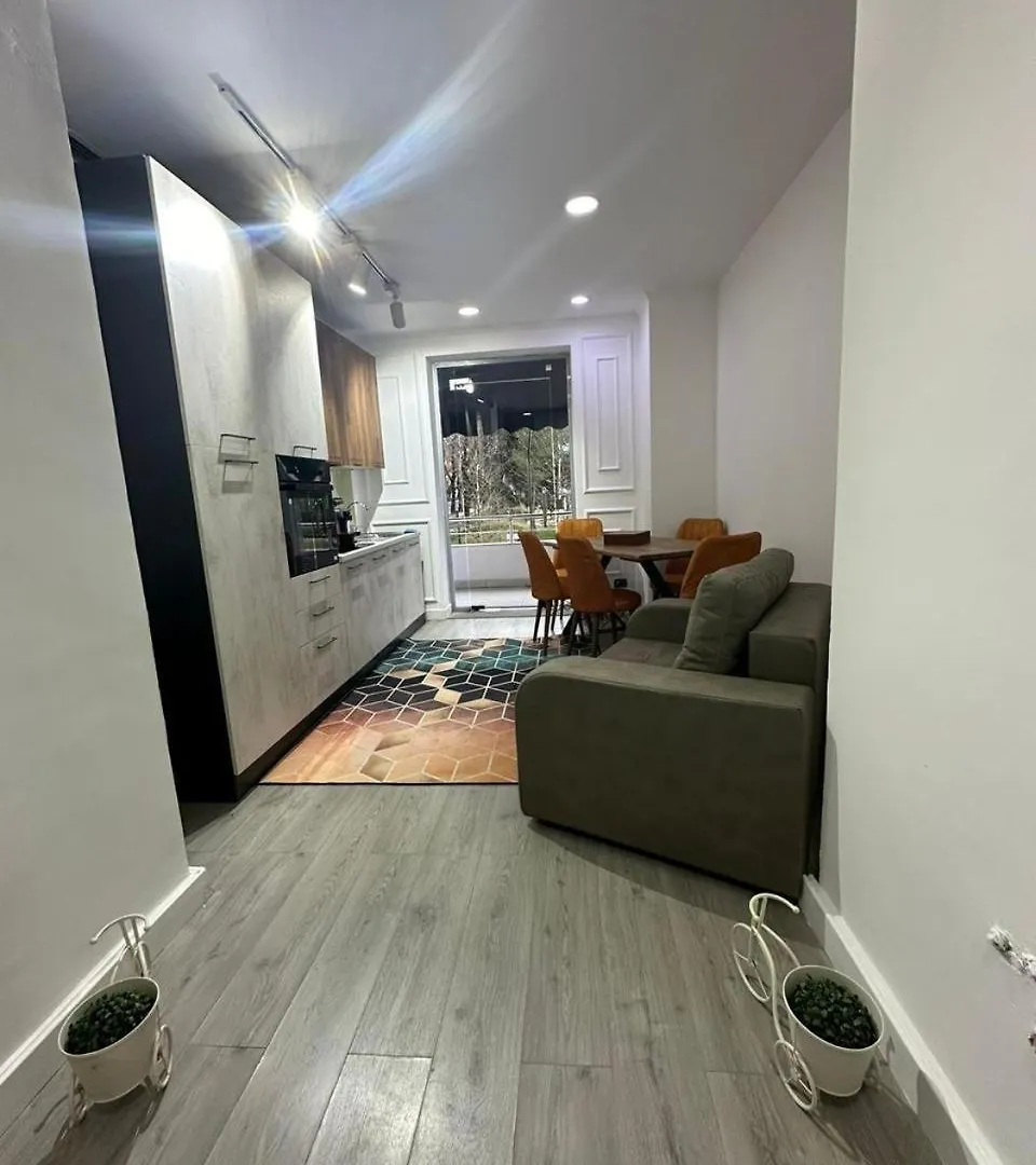 Park View Central Apartment Tirana Albanie